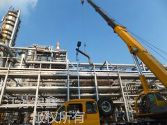 �����к��͹���8